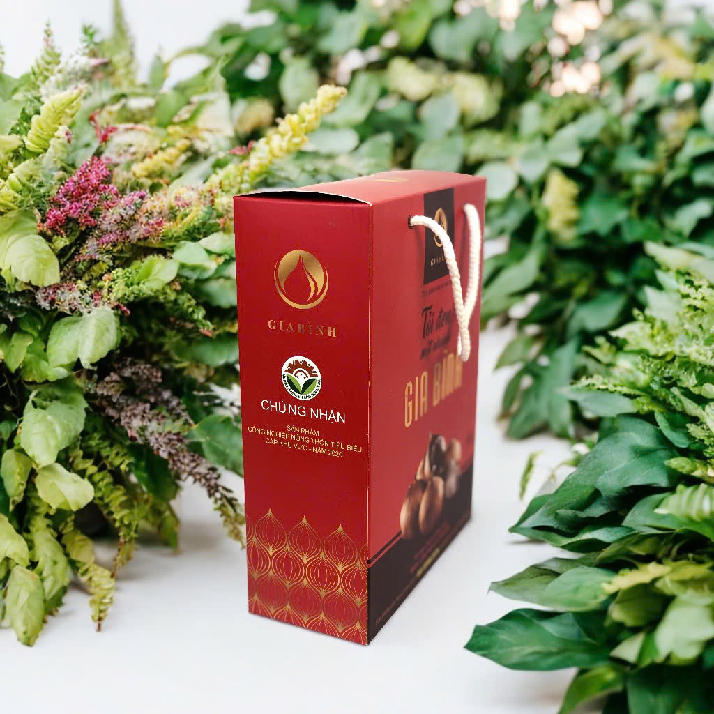 Tỏi đen một nhanh Gia Bình