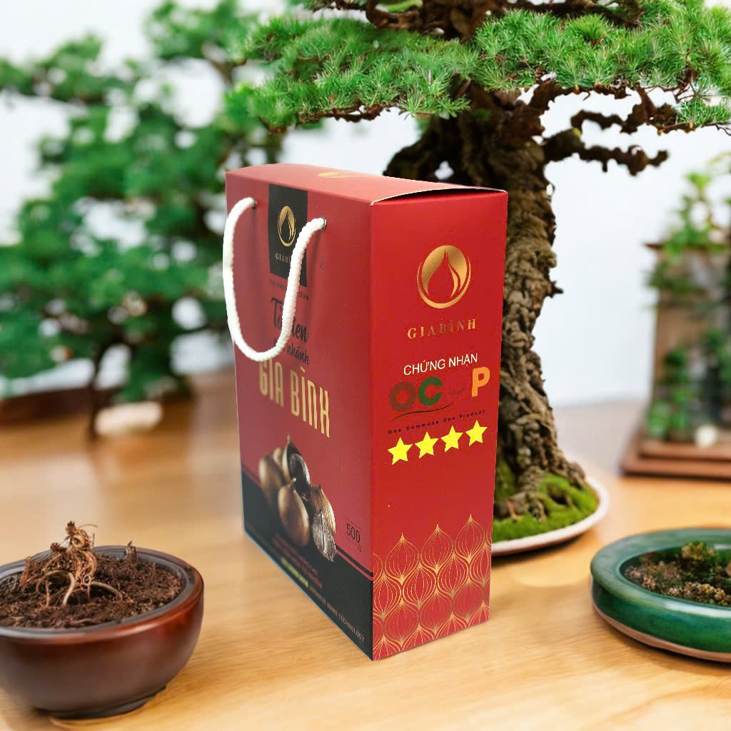 Tỏi đen một nhanh Gia Bình